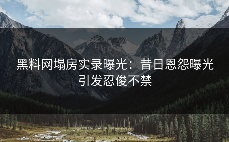 黑料网塌房实录曝光：昔日恩怨曝光引发忍俊不禁