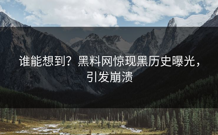 谁能想到？黑料网惊现黑历史曝光，引发崩溃