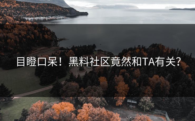 目瞪口呆！黑料社区竟然和TA有关？