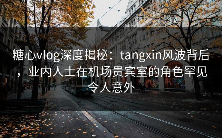 糖心vlog深度揭秘：tangxin风波背后，业内人士在机场贵宾室的角色罕见令人意外