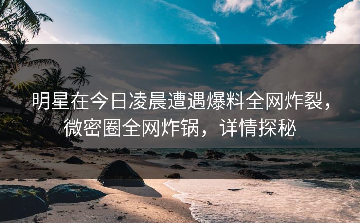 明星在今日凌晨遭遇爆料全网炸裂，微密圈全网炸锅，详情探秘