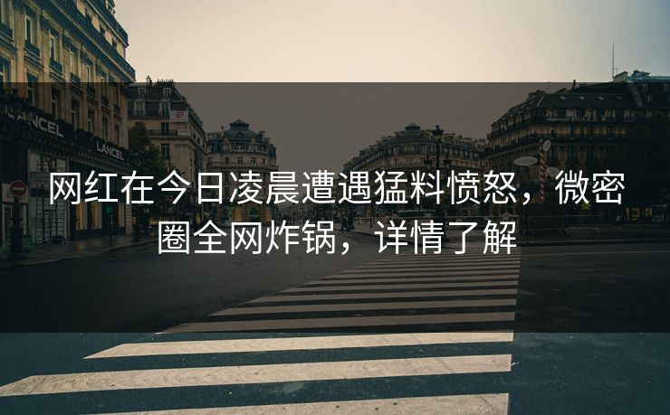 网红在今日凌晨遭遇猛料愤怒，微密圈全网炸锅，详情了解
