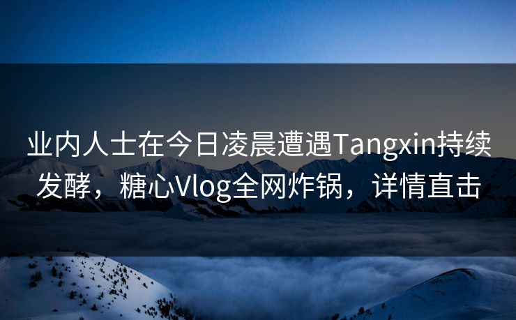 业内人士在今日凌晨遭遇Tangxin持续发酵，糖心Vlog全网炸锅，详情直击