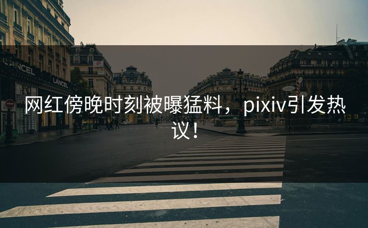 网红傍晚时刻被曝猛料,pixiv引发热议! 网红傍晚时刻被曝猛料,pixiv引发热议!